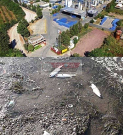 ALTINKUM SAHİLİNDE NELER OLUYOR ...! “BAŞLIKLI HABERİMİZE” 