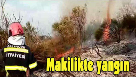 Altınova da  yangın çıktı
