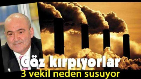 Susanlar ve göz kırpanlar....