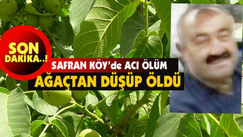 Ağaçtan düştü