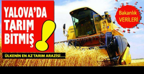 Yalova da tarım arazilerini yok ettik...