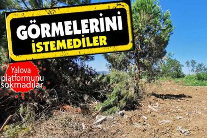 Yassak hemşerim...!