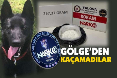 Narkotik operasyonu