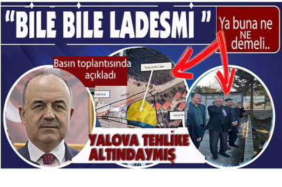 Bunlarda tehlike yok galiba...!