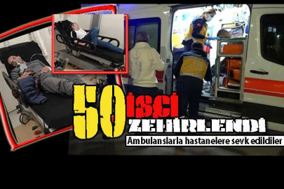 TERSANE İŞÇİLERİ ZEHİRLENDİ