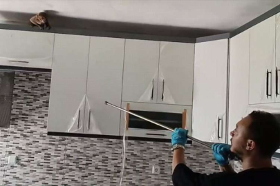 Bursa'da eve giren maymun korumaya alındı!