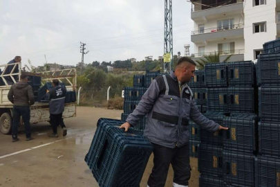 Hataylı zeytin üreticisine sandık dağıtımı