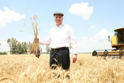 Türkiye tarımsal üretimde ilk 4'te