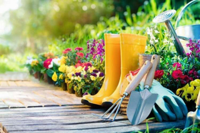 H-ÜFE verileri açıklandı... Peyzaj hizmetleri yıllık ve aylık revaçta