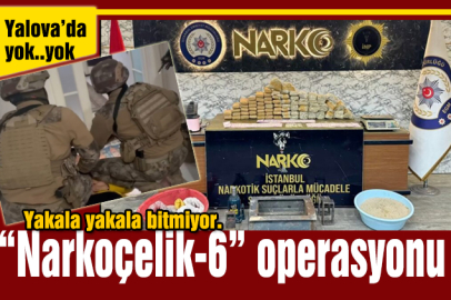 245 uyuşturucu taciri ve sokak satıcısının yakalandı