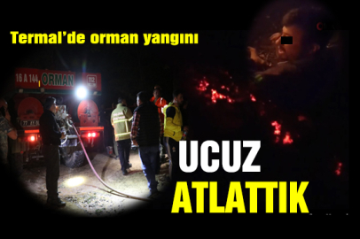 Yalova Termal ormanlarında yangın