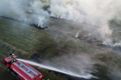 Düzce'de çıkan anız yangını korkuttu