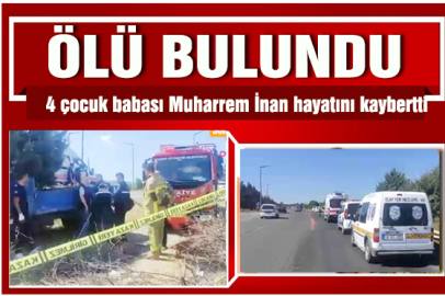Traktörün altında ölü bulundu