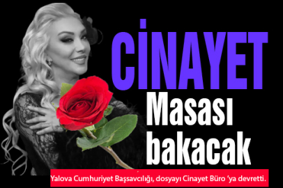 Yeni belge ve tanıklar sonrası Cinayet dosyasına döndü