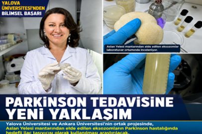 Aslan Yelesi Mantarı Parkinson Araştırmalarında Kullanılacak