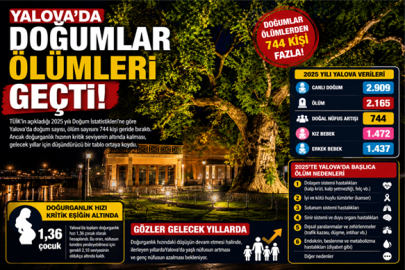 YALOVA'DA DOĞUMLAR ÖLÜMLERİ GEÇTİ!