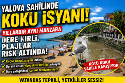 YALOVA SAHİLİNDE ALARM! 