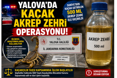 Yabancı uyruklu kaçakçılar yakalandı