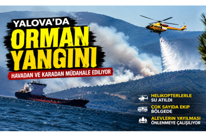 YALOVA'DA ORMAN YANGINI! HAVADAN VE KARADAN YOĞUN MÜDAHALE