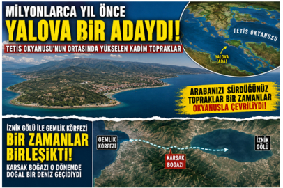 70 MİLYON YILLIK FOSİL, YALOVA'NIN MİLYONLARCA YILLIK SIRRINI DA ORTAYA ÇIKARDI
