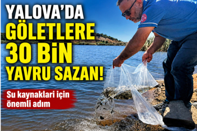 YALOVA’DA GÖLETLERE 30 BİN YAVRU SAZAN BIRAKILDI