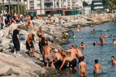 Armutlu da can pazarı