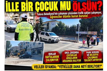 Bari bir polis koyun