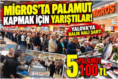 YALOVA’DA 39,90 LİRALIK PALAMUT KUYRUĞU! 