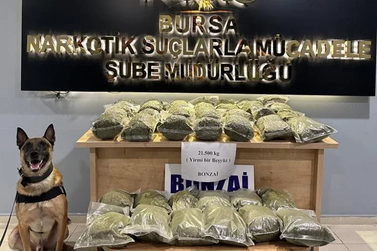 Bursa polisinden uyuşturucu ile mücadelede 188 gözaltı!