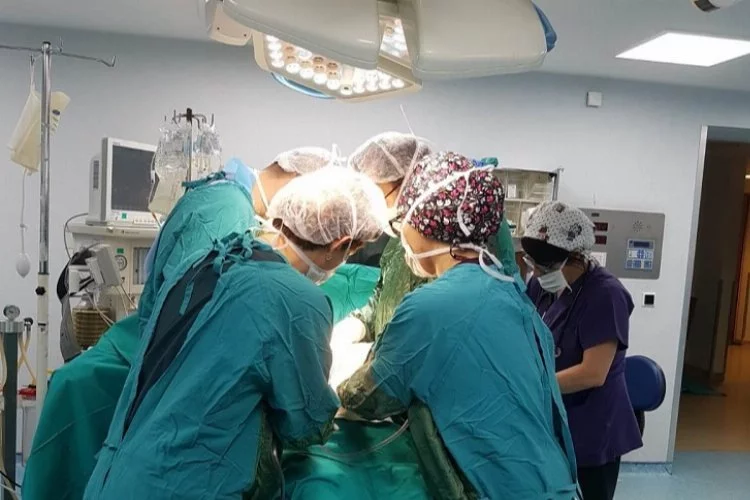 Organ bağışında lider Bursa